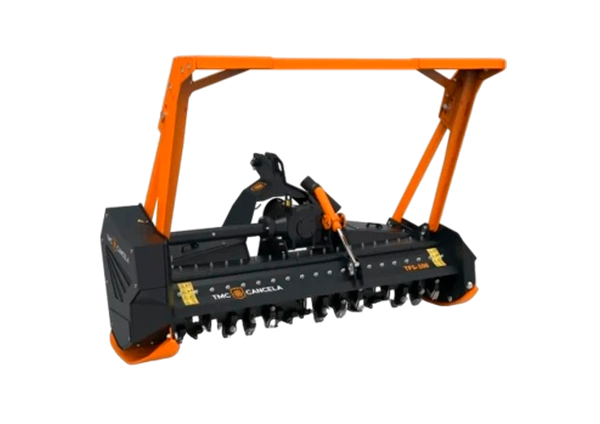 TFS